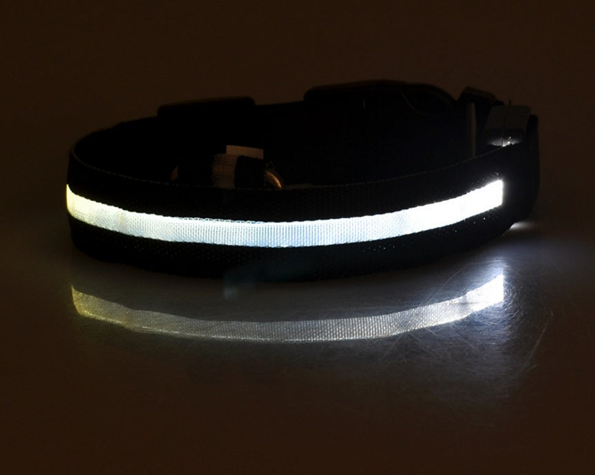 LED Luminous Dog & Cat Collar – Nylon Adjustable Night Safety Flashing Glow in the Dark | Pet Supplies Canada