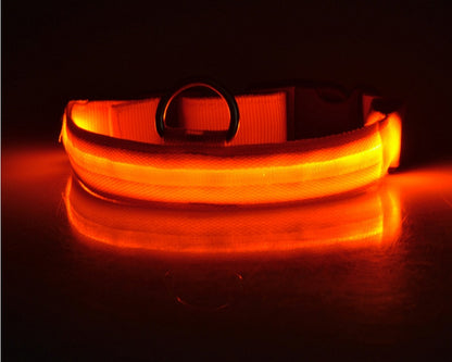 LED Luminous Dog & Cat Collar – Nylon Adjustable Night Safety Flashing Glow in the Dark | Pet Supplies Canada