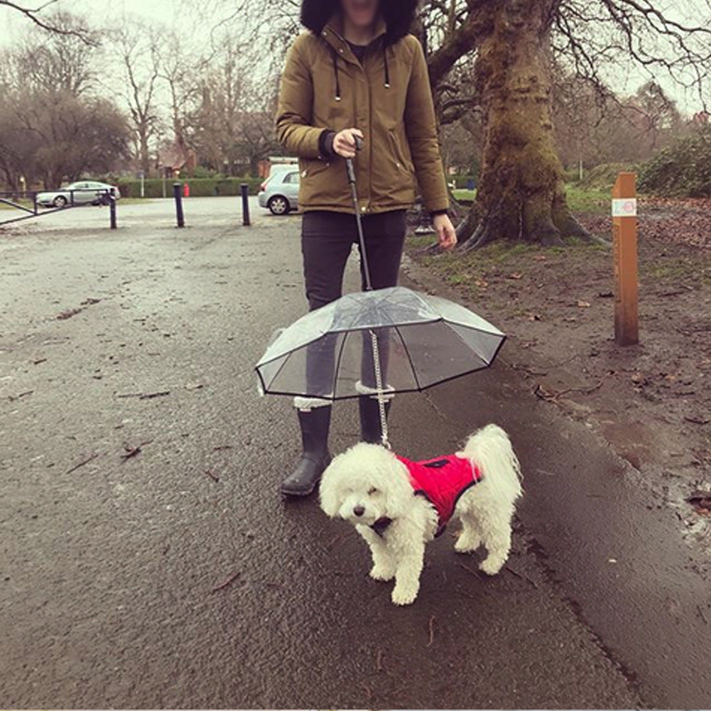Dog Transparent Umbrella – Rain Protection with Traction Chain for Walking Pets | Pet Products Canada