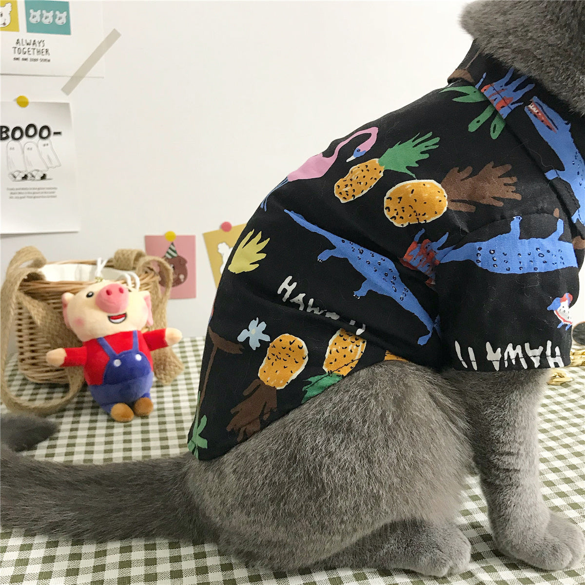 Warm Cat Clothes for Winter – Soft & Comfortable Pet Clothing for Indoor Cats