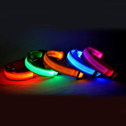 LED Luminous Dog & Cat Collar – Nylon Adjustable Night Safety Flashing Glow in the Dark | Pet Supplies Canada