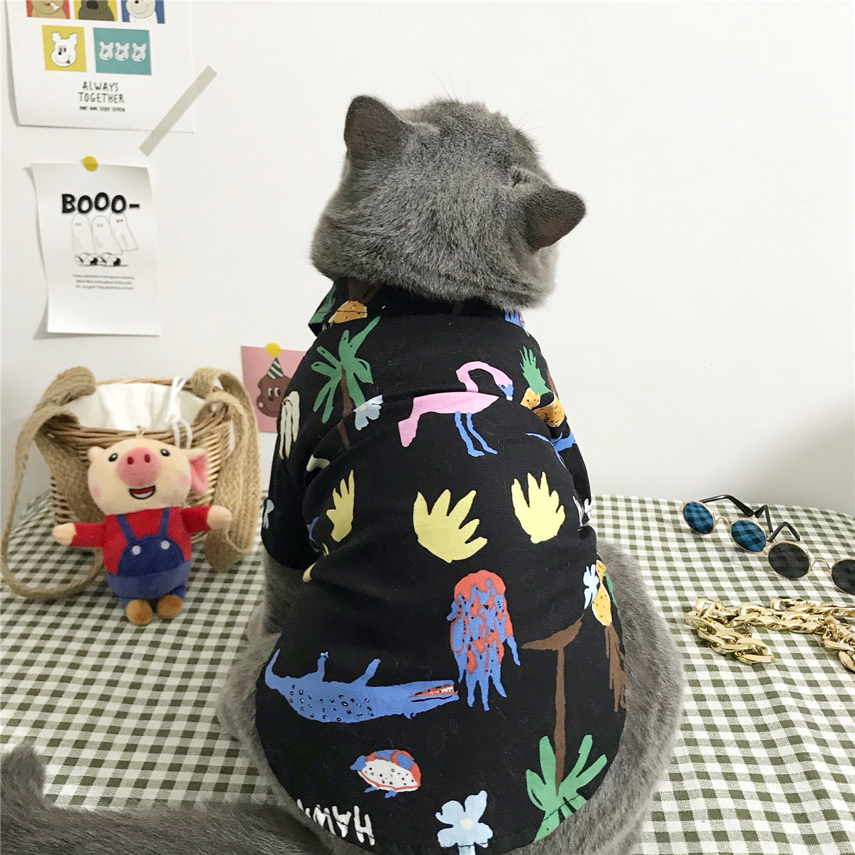 Warm Cat Clothes for Winter – Soft & Comfortable Pet Clothing for Indoor Cats