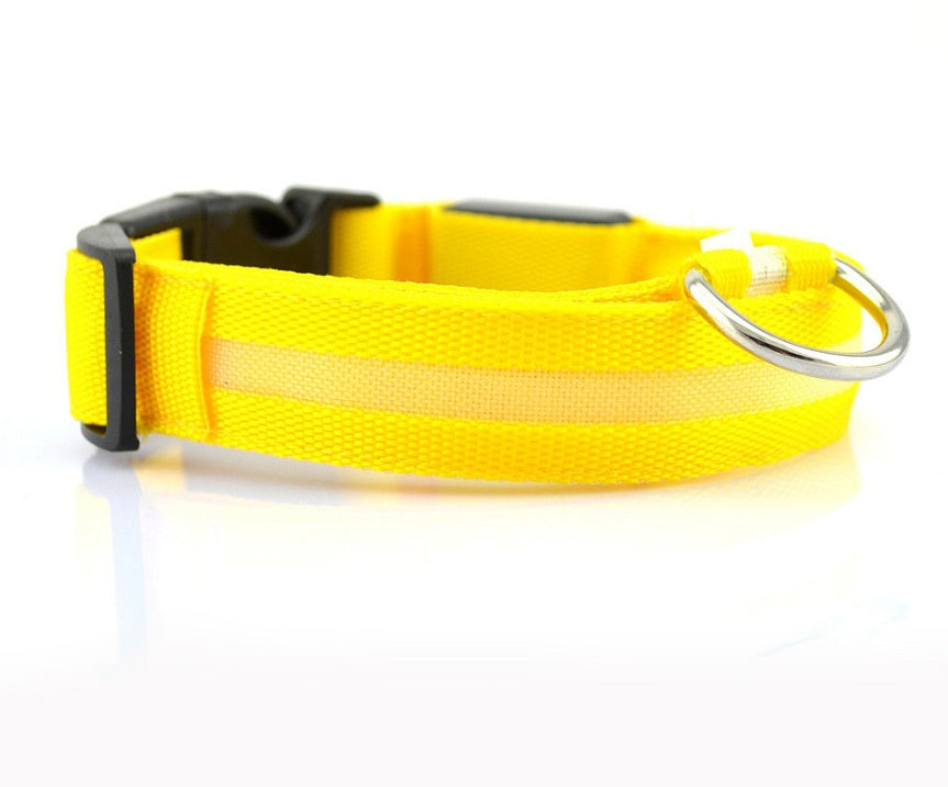LED Luminous Dog & Cat Collar – Nylon Adjustable Night Safety Flashing Glow in the Dark | Pet Supplies Canada