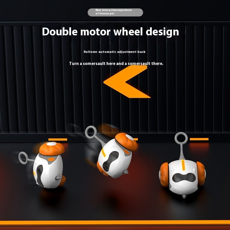 Rechargeable Cat Teaser Toy with Remote Control – Interactive Play for Indoor Cats