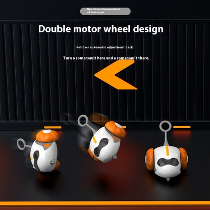 Rechargeable Cat Teaser Toy with Remote Control – Interactive Play for Indoor Cats