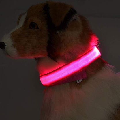 LED Luminous Dog & Cat Collar – Nylon Adjustable Night Safety Flashing Glow in the Dark | Pet Supplies Canada