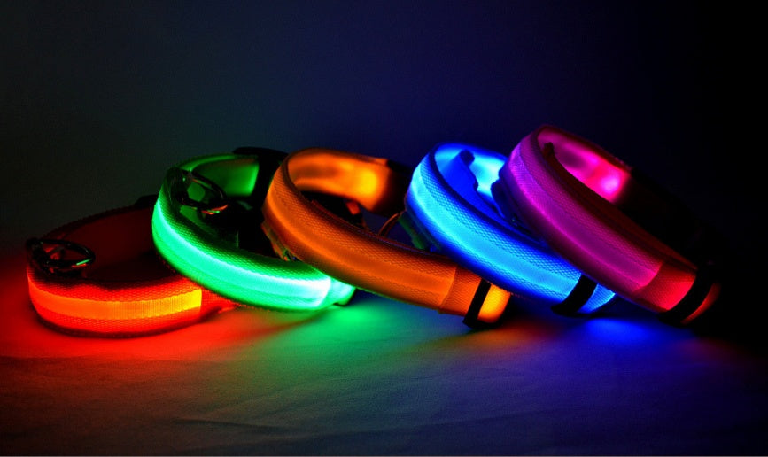 LED Luminous Dog & Cat Collar – Nylon Adjustable Night Safety Flashing Glow in the Dark | Pet Supplies Canada