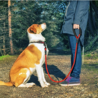 Reflective Nylon Dog Leash – Walking & Training Rope for Small, Medium & Large Dogs | Pet Supplies Canada