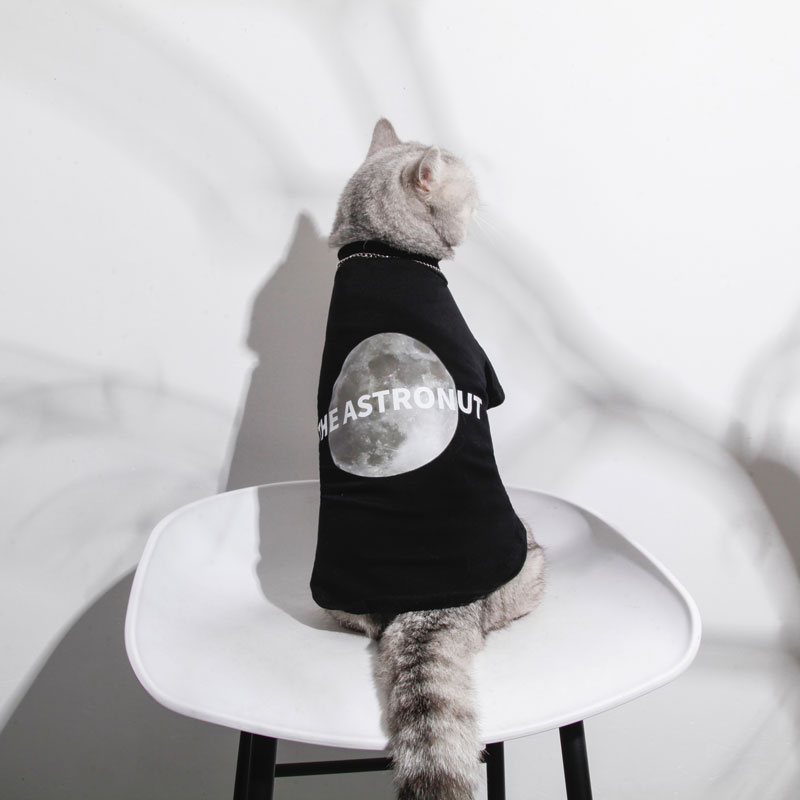 Thin Summer Cat Clothes – Lightweight & Breathable Pet Clothing for Cats