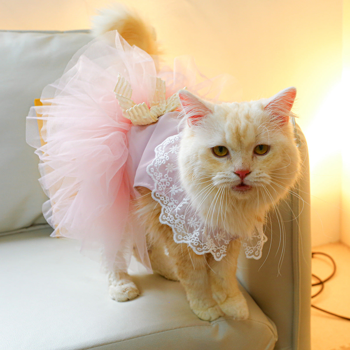 Cute Lace Cat Clothes – Stylish & Lightweight Pet Clothing for Cats