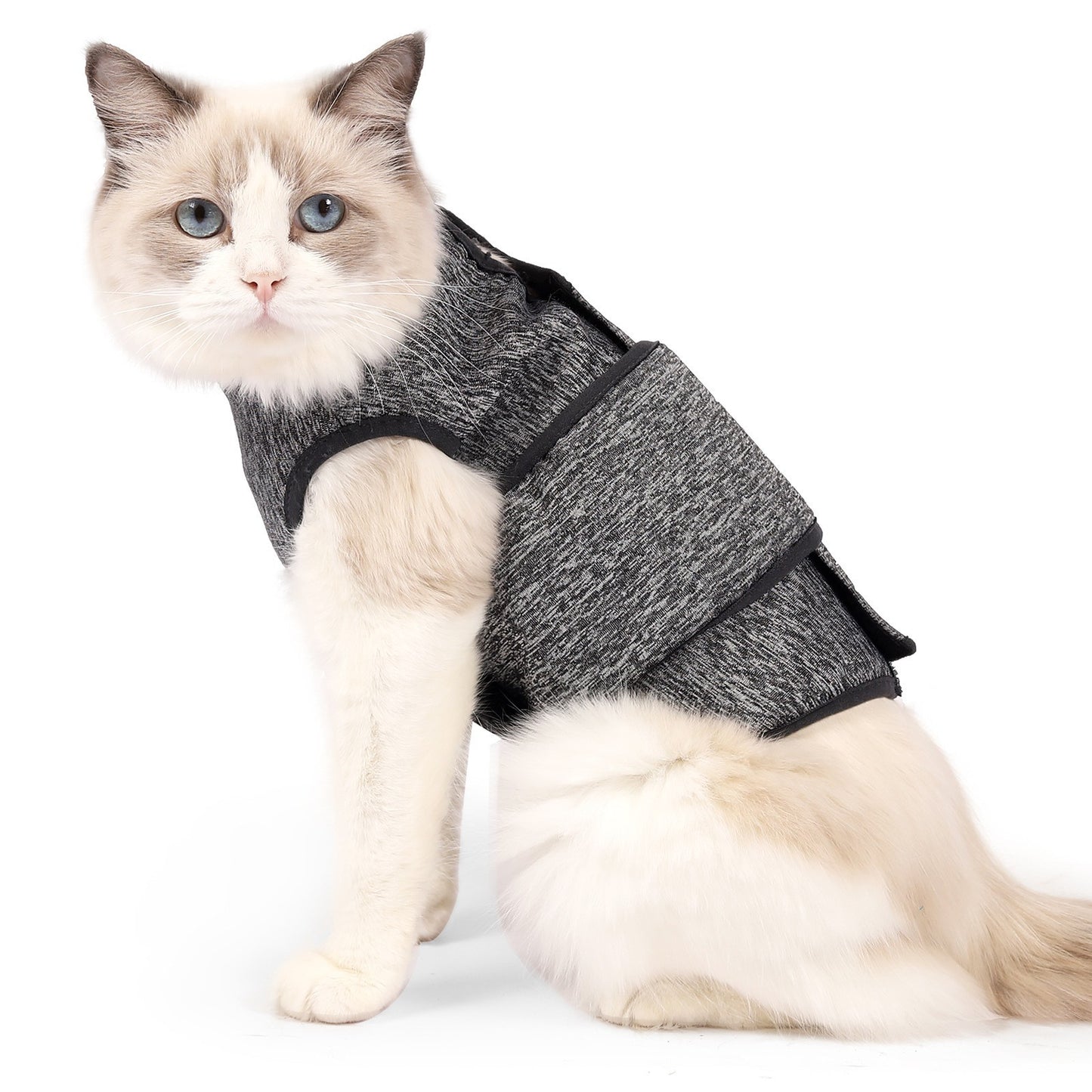 Popular Spring Cat Clothes – Lightweight & Comfortable Pet Clothing for Cats