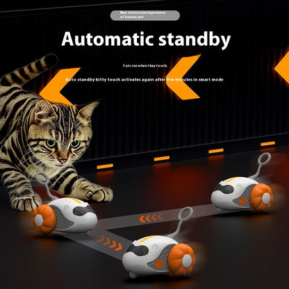 Rechargeable Cat Teaser Toy with Remote Control – Interactive Play for Indoor Cats