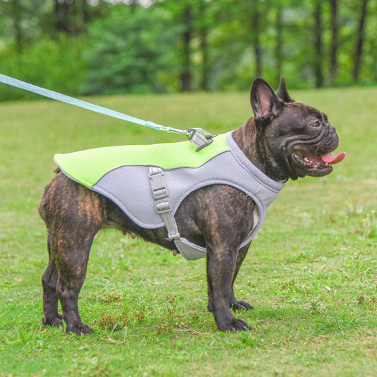 Summer Dog Cooling Vest – Heat-Resistant, Breathable & Sun-Proof Pet Clothes for Small & Large Dogs | Outdoor Walking Canada