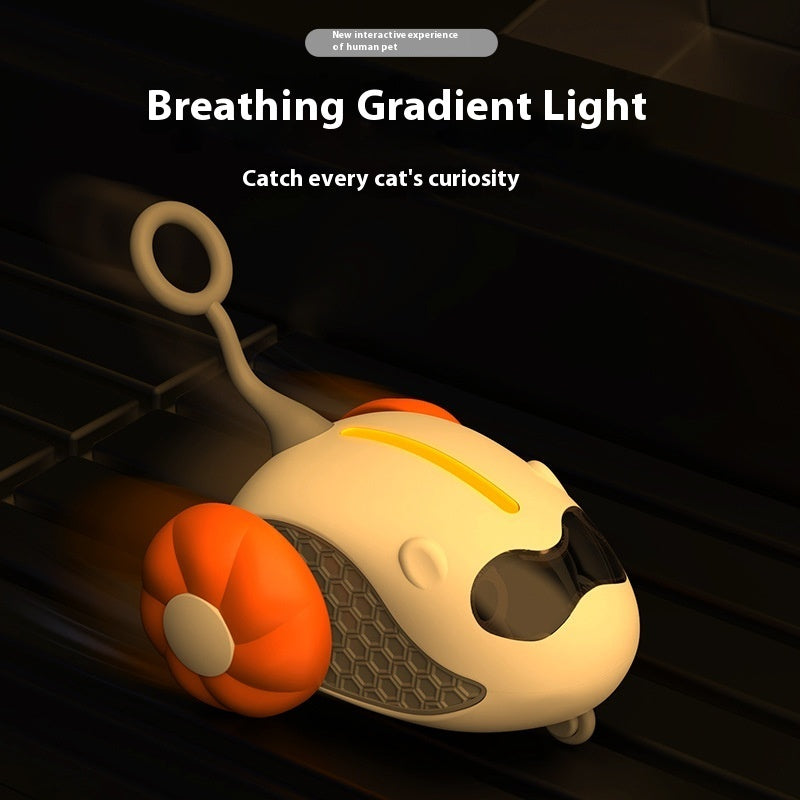 Rechargeable Cat Teaser Toy with Remote Control – Interactive Play for Indoor Cats